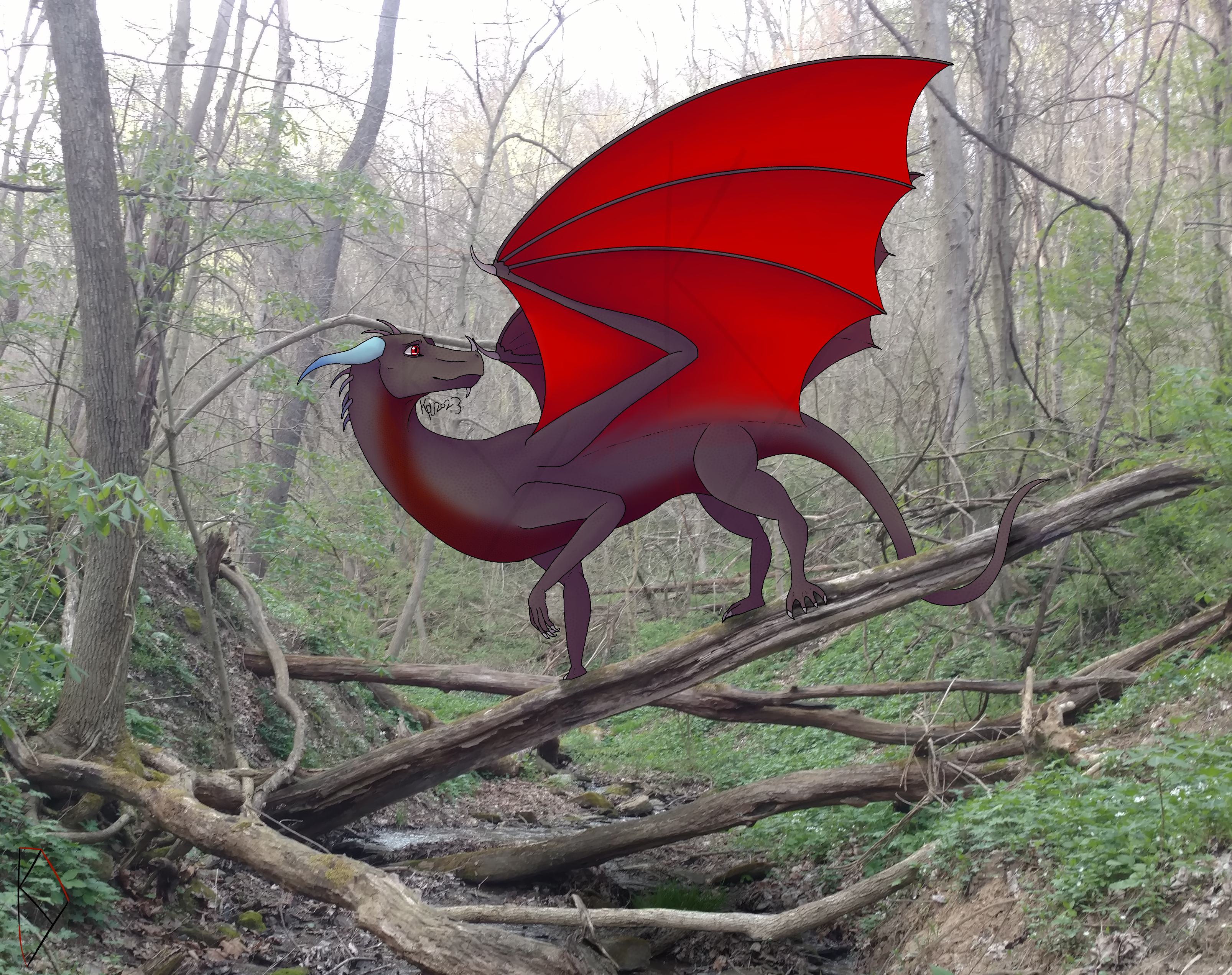 KyRon in the woods